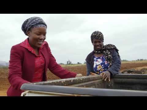 SA INC EP1 SPAR 1min