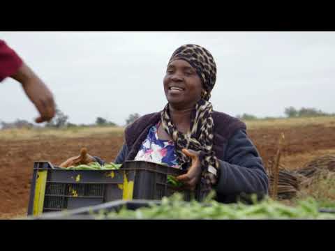 SA INC EP1 SPAR 3min